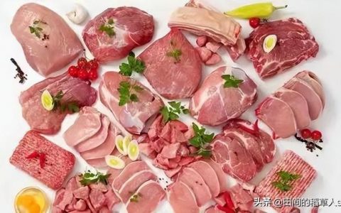 猪肝今天价格（猪肝市场价多少钱一斤）